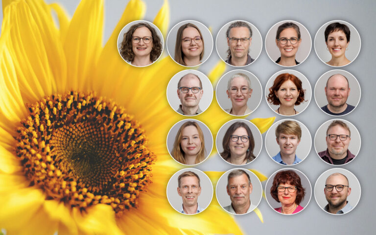 Das sind sie: Unsere Grünen Köpfe in der Regionsversammlung!